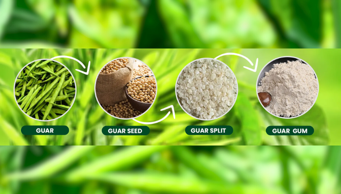 Guar Gum Powder Exporter
